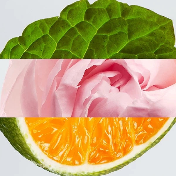 LACOSTE ROSE EAU DE PARFUM L.12.12