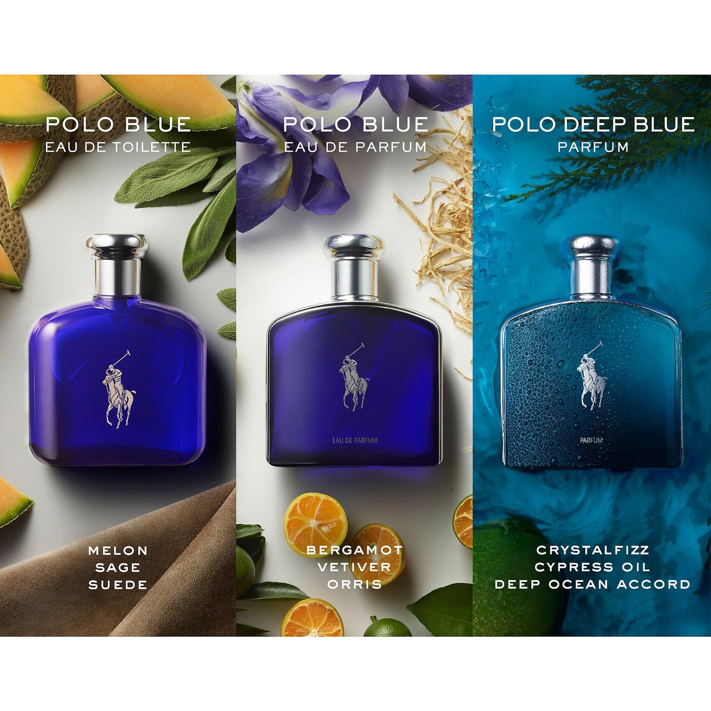 POLO BLUE